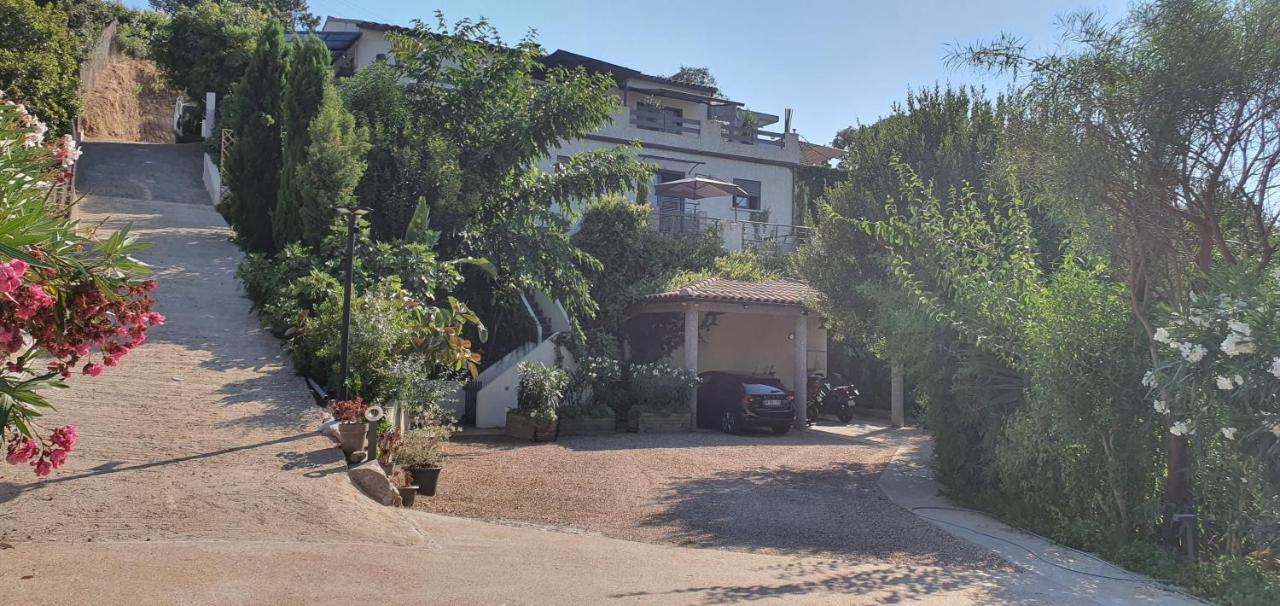 Appartement F2 Avec Terrasse De 35 M2 Bomorto - Porticcio Porticcio  Eksteriør bilde